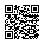 QR CODE 461