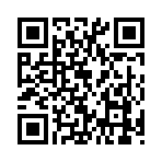 QR CODE 461
