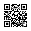 QR CODE 49