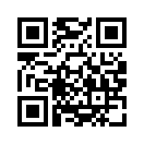 QR CODE 50
