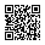 QR CODE 503