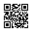 QR CODE 51