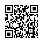QR CODE 515