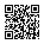 QR CODE 523