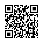 QR CODE 528