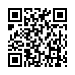 QR CODE 529