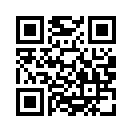 QR CODE 53