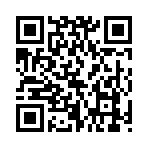 QR CODE 63