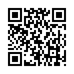 QR CODE 77