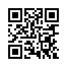 QR CODE 93