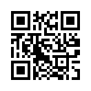 QR CODE 336