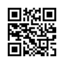 QR CODE 394