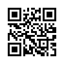 QR CODE 42
