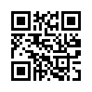 QR CODE 461