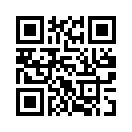 QR CODE 528