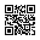 QR CODE 529