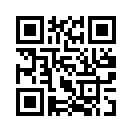 QR CODE 734