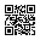 QR CODE 737