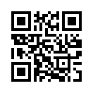 QR CODE 761