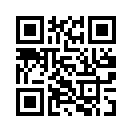 QR CODE 813