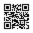 QR CODE 856