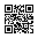 QR CODE 868