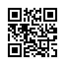 QR CODE 913