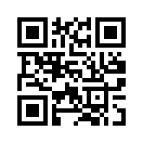 QR CODE 950