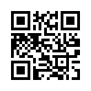 QR CODE 973