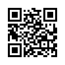 QR CODE 212