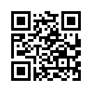 QR CODE 305