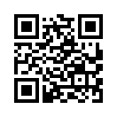 QR CODE 394