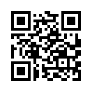 QR CODE 415