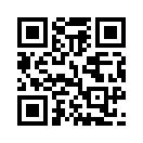 QR CODE 447