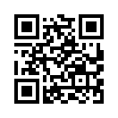 QR CODE 494