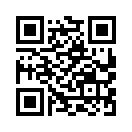 QR CODE 677