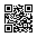 QR CODE 734