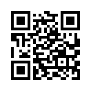 QR CODE 791
