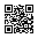 QR CODE 810