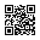 QR CODE 813