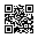 QR CODE 838