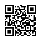 QR CODE 856