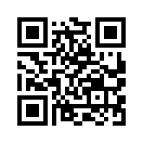 QR CODE 868