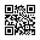 QR CODE 110