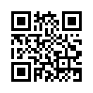 QR CODE 132