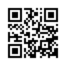 QR CODE 133