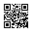 QR CODE 53