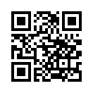QR CODE 336