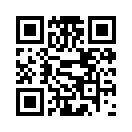 QR CODE 538