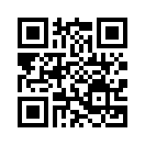 QR CODE 336